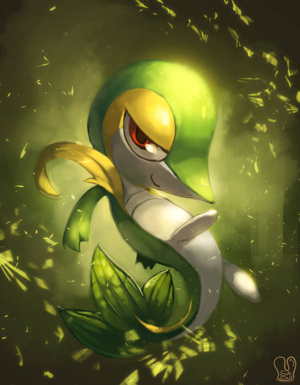 Pokemon : Snivy Wallpaper